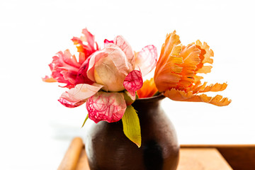 Pink and orange tulips flowers macro closeup bouquet arrangement inside vase potted plant closeup against wall curtains blinds in white background