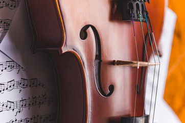 Violin