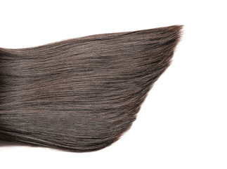 Beautiful long hair on white background