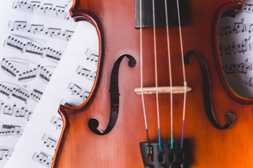 Fototapeta premium Violin