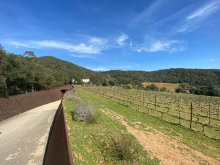 road in countryside