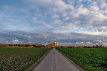 Diminishing perspective view of tranquil street with beautiful dramatic cloud and sky after storm and rain over agricultural field and road on countryside area in Germany. 
