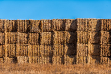 Hay stack bales closeup near small town of La Junta, Colorado with rural farm countryside in Otero county and blue sky landscape