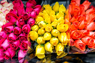 Many different yellow orange red magenta pink purple roses bouquets flower arrangements pattern...
