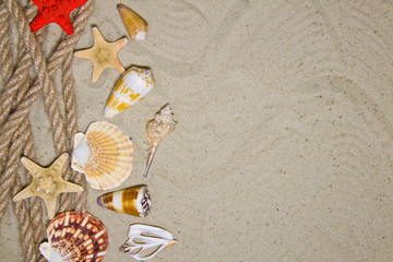 Fototapeta na wymiar Summer flat composition with seashells, rope, sand beach and space for text on sandy background