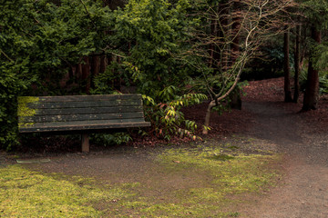 bench in the park