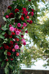 Decorative spring flower arrangement. The tree is creatively decorated with many blooming asters and greenery. Outdoors