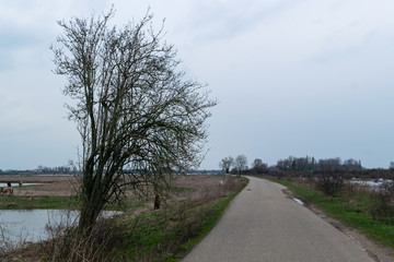 road in a Dutch polder landscape