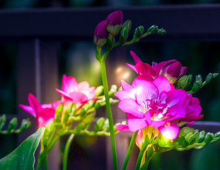 Beauty is through the eyes of the beholder and through the lens they shoot with.