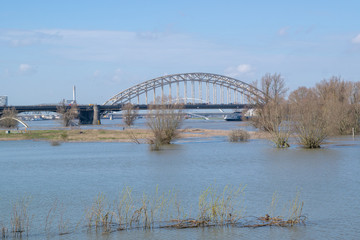Obraz premium Trees in flooded water in waal