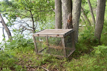 Unused Live Fish Box