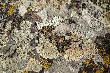 Rocks background close up another planet textures