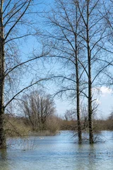 Foto auf Leinwand Trees standing in flooded water © Daniel Doorakkers