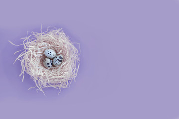 Small beautiful quail eggs in the hay nest on the plain background top view