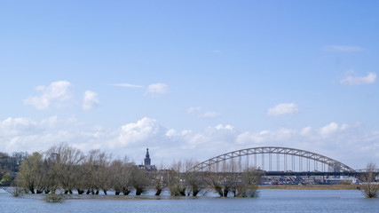 Trees in flooded water in waal