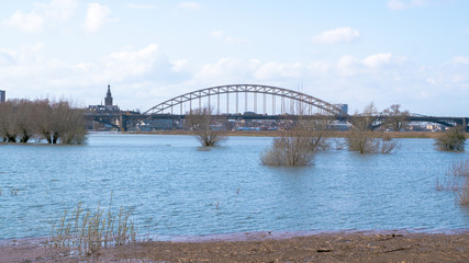 Fototapeta premium Trees in flooded water in waal