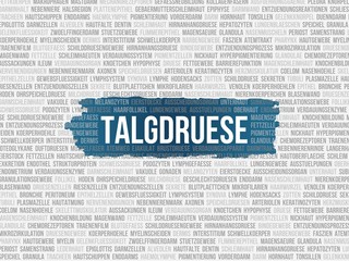 Talgdr�se