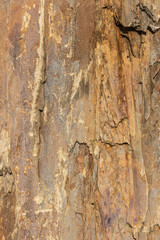 Natural slate with shades of golden and brown colours.