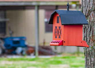 Bird feeder in a tree in rural America