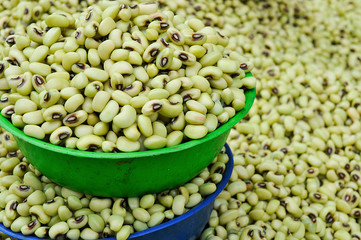 Fototapeta premium Green bean