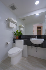 Toilet bowl in the bathroom interior architecture of rest room and decorative design