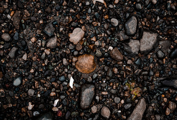 stones on black background,beach shore with rocks and seashells.  wet ground with rocks and seashells.  rocky sea bottom 