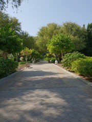 Fototapeta na wymiar road in the park from park qurum in Muscat Oman 