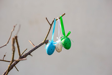 Blue, white and green easter eggs hang on dry branch on ribbons on white background. Easter decor