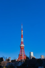 青空の東京タワー