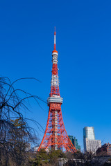 青空の東京タワー