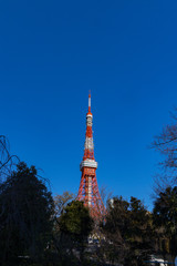 青空の東京タワー