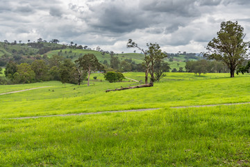 Fototapeta premium Rural Countryside green after the rain.