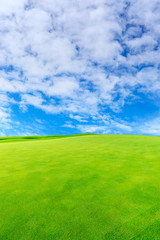Fototapeta na wymiar Green grass field and blue sky with white clouds.