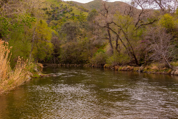 Putah Creek in Winter, Ca. in the mountains below Lake Berryessa