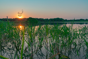 Laguna de Campo al Atardecer, Castelli - Chaco - Argentina