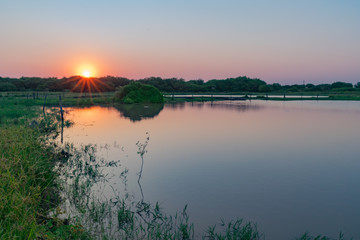 Laguna de Campo al Atardecer, Castelli - Chaco - Argentina