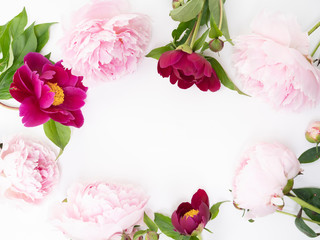 Pink and Burgundy peony background floral flat lay