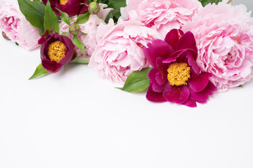 Pink and Burgundy peony background floral flat lay