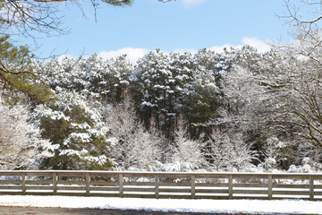 Fences and trees covered in snow following a winter snow storm.