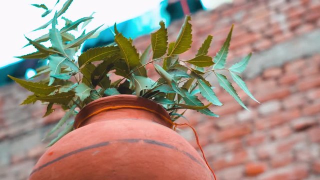 Traditional Indian woman carrying earthern pots on her head. Rotating view.