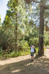 A young traveler in a cap with a backpack stands in the shade of a pine tree and takes pictures. Pine tree forest with dry pine leafs needles carpet near the Volcano Arenas Negras. Tenerife