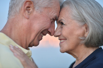 Portrait of a beautiful caucasian senior couple