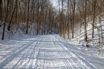 Obraz premium Hiking trail covered by snow winter forest landscape in Michigan