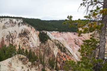 Grand Canyon of the Yellowstone River from Artists Point