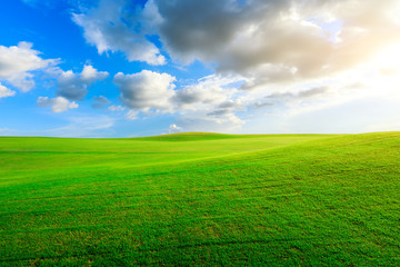 Obraz premium Green grass field and blue sky with white clouds.