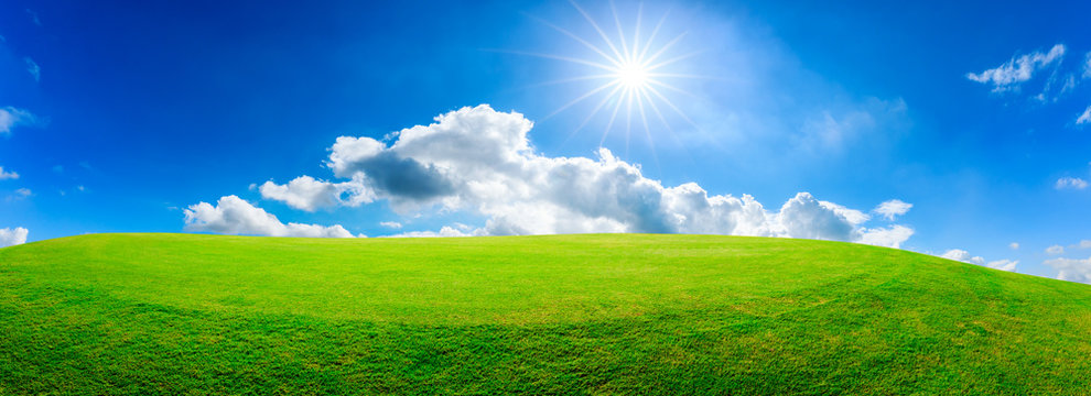 Fototapeta Green grass field and blue sky with white clouds,panoramic view.