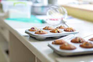 Confectioner took out freshly baked muffins in a baking dish on the table from the oven