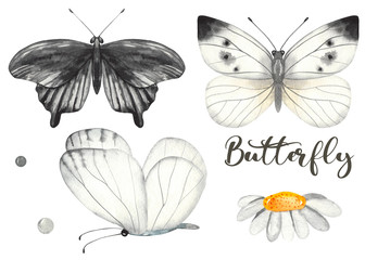 Watercolor set with black and white butterflies. Hand painted clipart
