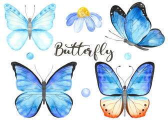 Fototapeta premium Watercolor set with blue, violet butterflies. Hand painted clipart