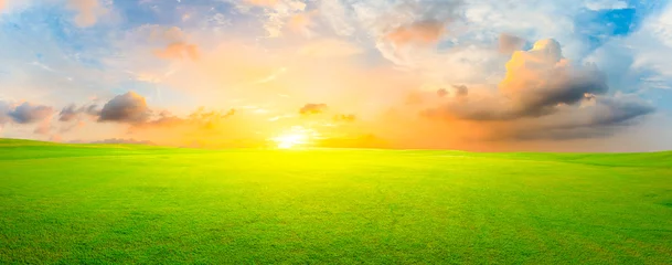 Fotobehang Slaapkamer Green grass field and colorful sky clouds at sunset,panoramic view.  © ABCDstock
